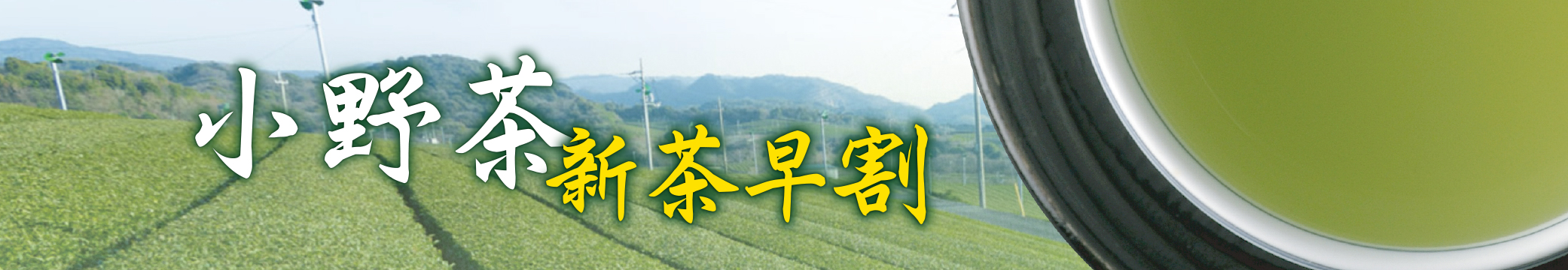 新茶早割