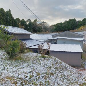 山口茶業 社屋裏側